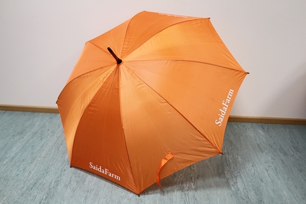 Sateenvarjo Sateenvarjo