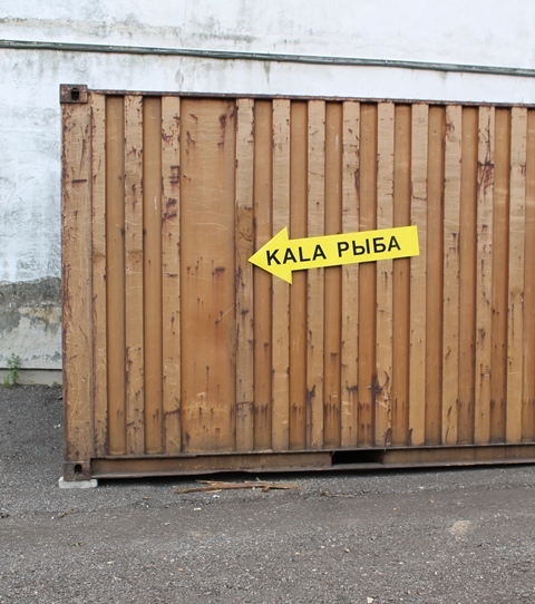 Magnetkleebis Kala Magnetkleebis Kala