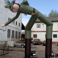 Tuulepoisid